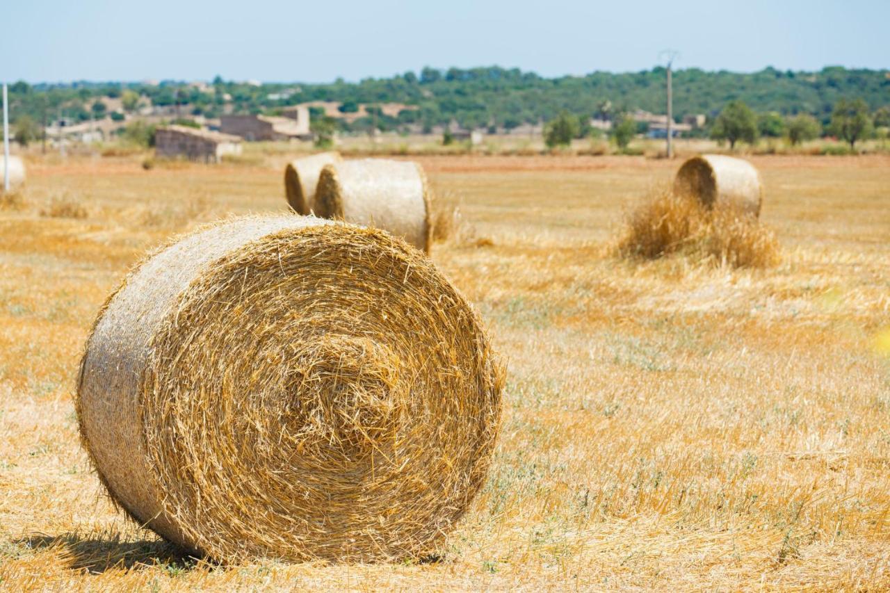 184 Finca Estret Etv3644 By Mallorca Charme Santa Margalida Εξωτερικό φωτογραφία